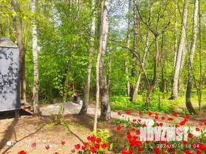 Дом 60м², 1-этажный, посуточно,