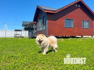 Дом 80м², 2-этажный, посуточно,