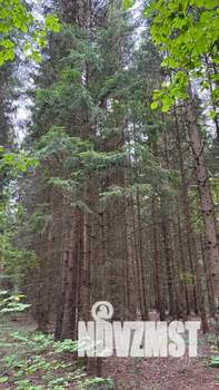 Дом 56м², 1-этажный, посуточно,