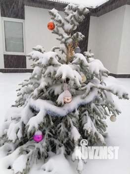 Дом 60м², 1-этажный, посуточно,