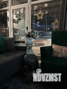 Дом 45м², 1-этажный, посуточно,