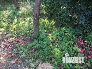 Дом 52м², 2-этажный, на длительный срок,