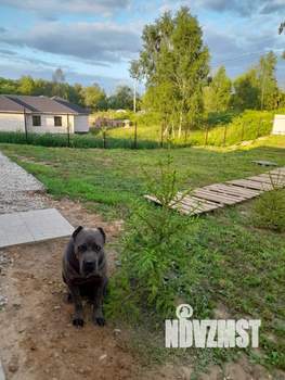 Дом 38м², 11-этажный, участок 8 сот.