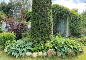 Дом 90м², 1-этажный, участок 13 сот.