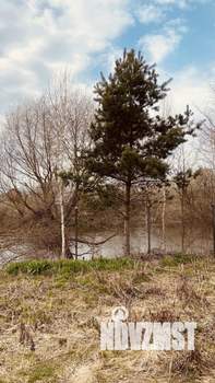 Коттедж 50м², 2-этажный, участок 7 сот.