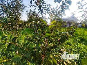 Дом 115м², 1-этажный, участок 10 сот.