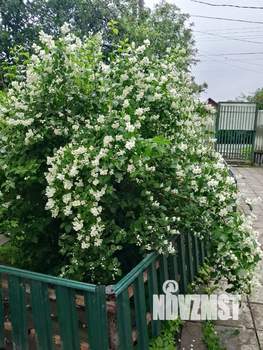 Дом 66м², 1-этажный, участок 6 сот.