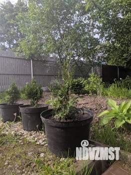 Дом 140м², 1-этажный, участок 13 сот.