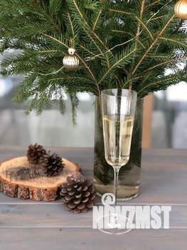 Дом 90м², 1-этажный, посуточно, 