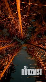 Дом 80м², 1-этажный, посуточно, 