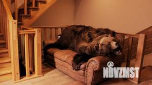 Дом 300м&sup2;, 3-этажный, посуточно, 