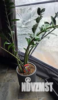 Дом 38м&sup2;, 1-этажный, посуточно, 