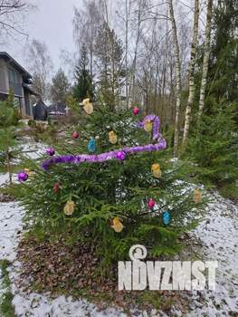 Дом 38м&sup2;, 1-этажный, посуточно, 