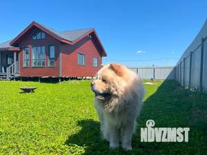 Дом 80м², 2-этажный, посуточно, 