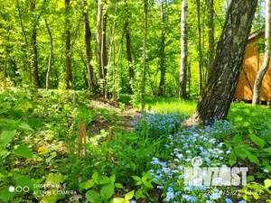 Дом 60м², 1-этажный, посуточно, 