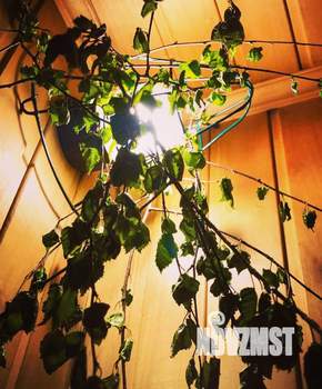 Дом 75м&sup2;, 2-этажный, посуточно, 