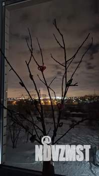 Дом 12м², 1-этажный, посуточно, 