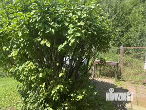 Дом 40м², 1-этажный, на длительный срок, 