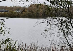 Дом 140м², 2-этажный, участок 8 сот.  