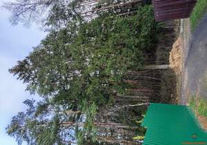 Дом 70м², 2-этажный, участок 6 сот.  