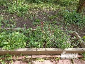 Дом 103м², 1-этажный, участок 6 сот.  