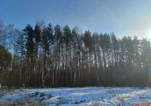 Дом 130м², 1-этажный, участок 6 сот.  