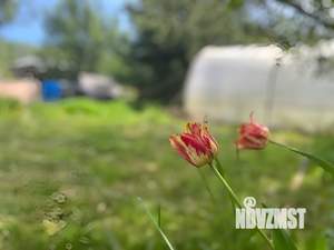 Дом 20м², 1-этажный, участок 12 сот.  