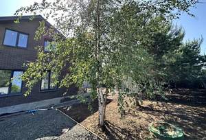 Дом 150м², 2-этажный, участок 6 сот.  
