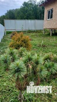 Дом 94м², 1-этажный, участок 6 сот.  