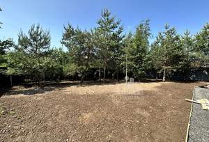 Дом 150м², 2-этажный, участок 6 сот.  