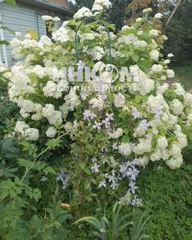 Дом 203м², 3-этажный, участок 10 сот.  