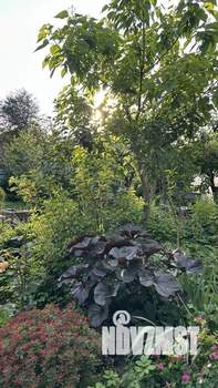 Дача 154м&sup2;, 2-этажный, участок 9 сот.  