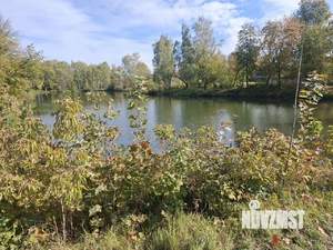 Дом 139м&sup2;, 1-этажный, участок 6 сот.  