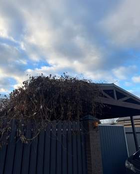 Дом 122м², 1-этажный, участок 8 сот.  