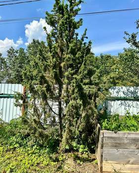 Дом 48м², 1-этажный, участок 17 сот.  