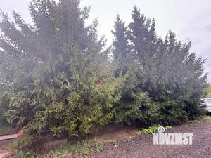 Дом 245м², 2-этажный, участок 8 сот.  