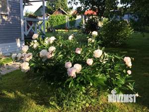 Дом 80м&sup2;, 1-этажный, участок 8 сот.  