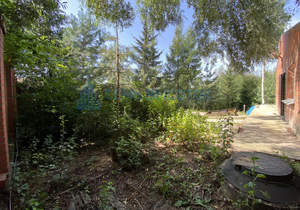 Дом 250м², 1-этажный, участок 6 сот.  