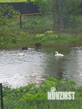 Дом 94м², 1-этажный, участок 6 сот.  