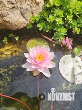 Дом 118м², 3-этажный, участок 6 сот.  