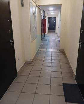 Студия квартира, на длительный срок, 24м2, 5/17 этаж