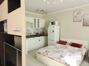 Студия квартира, посуточно, 29м2, 7/17 этаж