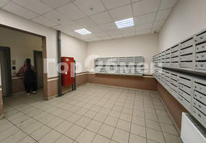 Студия квартира, на длительный срок, 25м2, 7/17 этаж