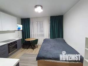 Студия квартира, посуточно, 26м2, 8/17 этаж