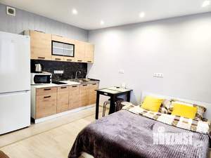 Студия квартира, посуточно, 24м2, 10/17 этаж