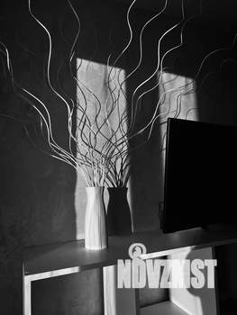 Студия квартира, посуточно, 25м2, 12/17 этаж