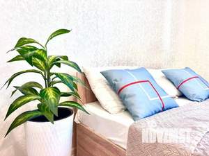 1-к квартира, посуточно, 24м2, 1/1 этаж