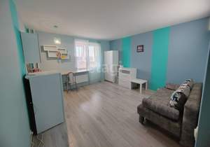 1-к квартира, вторичка, 25м2, 6/17 этаж