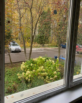 1-к квартира, вторичка, 31м2, 1/5 этаж