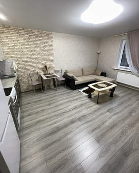 1-к квартира, вторичка, 29м2, 2/17 этаж